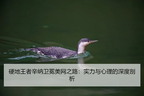 硬地王者辛纳卫冕美网之路：实力与心理的深度剖析