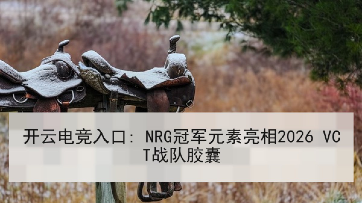 开云电竞入口: NRG冠军元素亮相2026 VCT战队胶囊