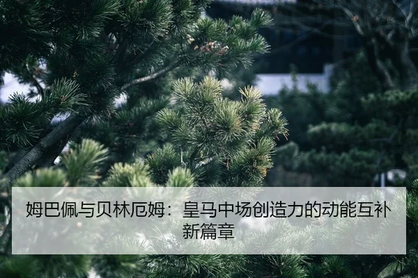 mu-ba-pei-yu-bei-lin-e-mu-huang-ma-zhong-chang-chuang-zao-li-de-dong-neng-hu-bu-xin-pian-zhang-2-620.jpg