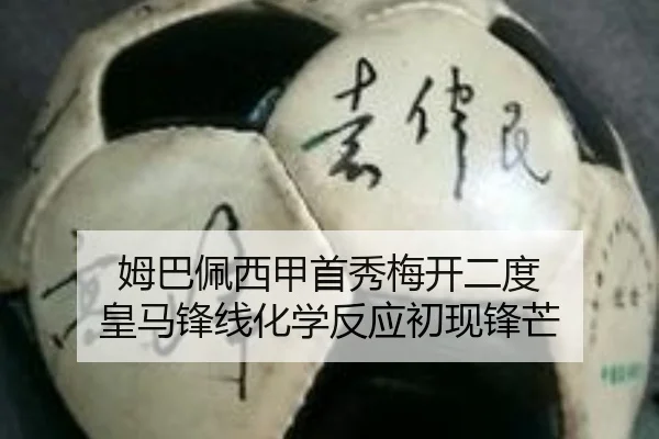 mu-ba-pei-xi-jia-shou-xiu-mei-kai-er-du-huang-ma-feng-xian-hua-xue-fan-ying-chu-xian-feng-mang-3-603.jpg