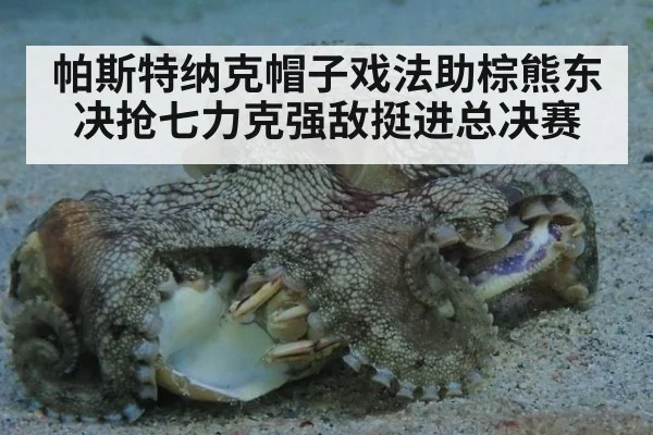 帕斯特纳克帽子戏法助棕熊东决抢七力克强敌挺进总决赛